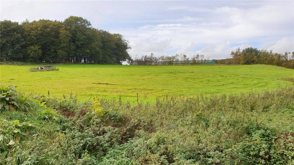 Site 2