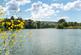 Additional image 14 of Near Petworth, West Sussex