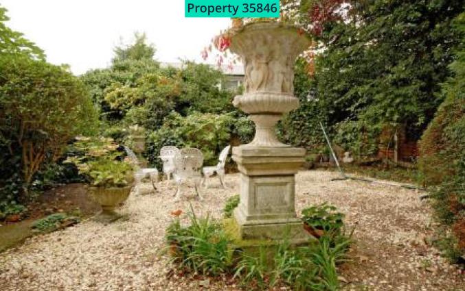 Shared Garden