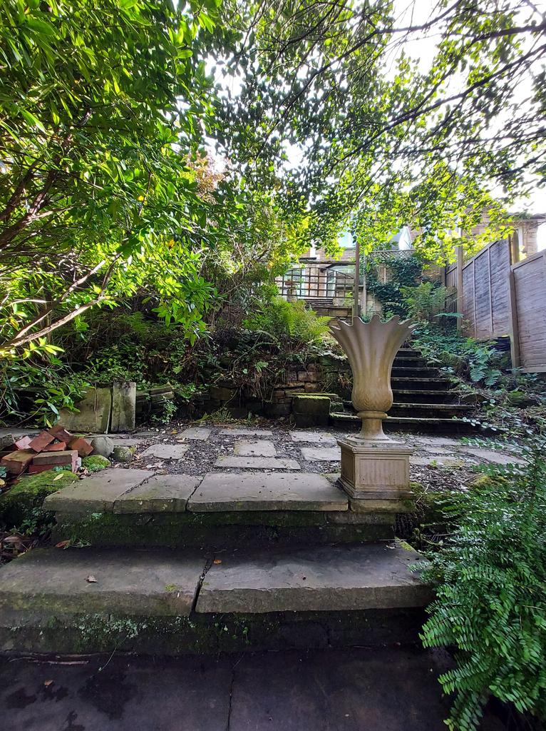 Photograph 30
