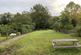 Garden (Original)