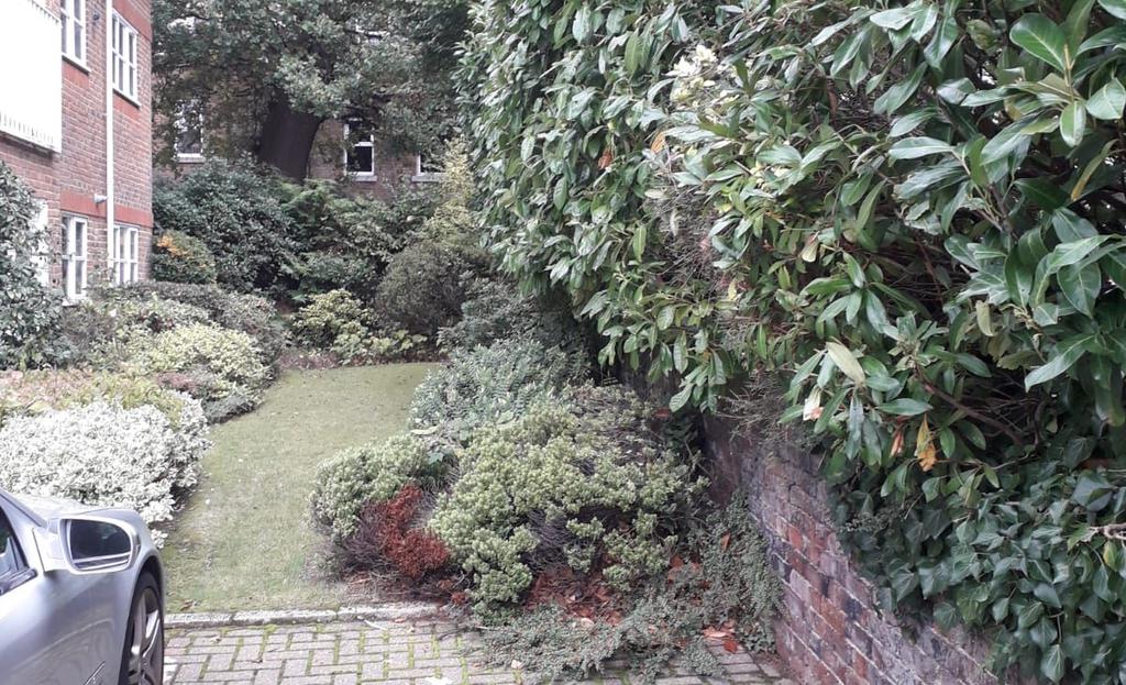 Communal garden