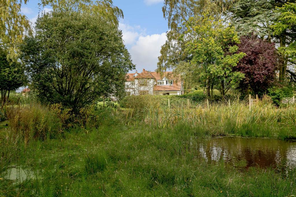 Pond