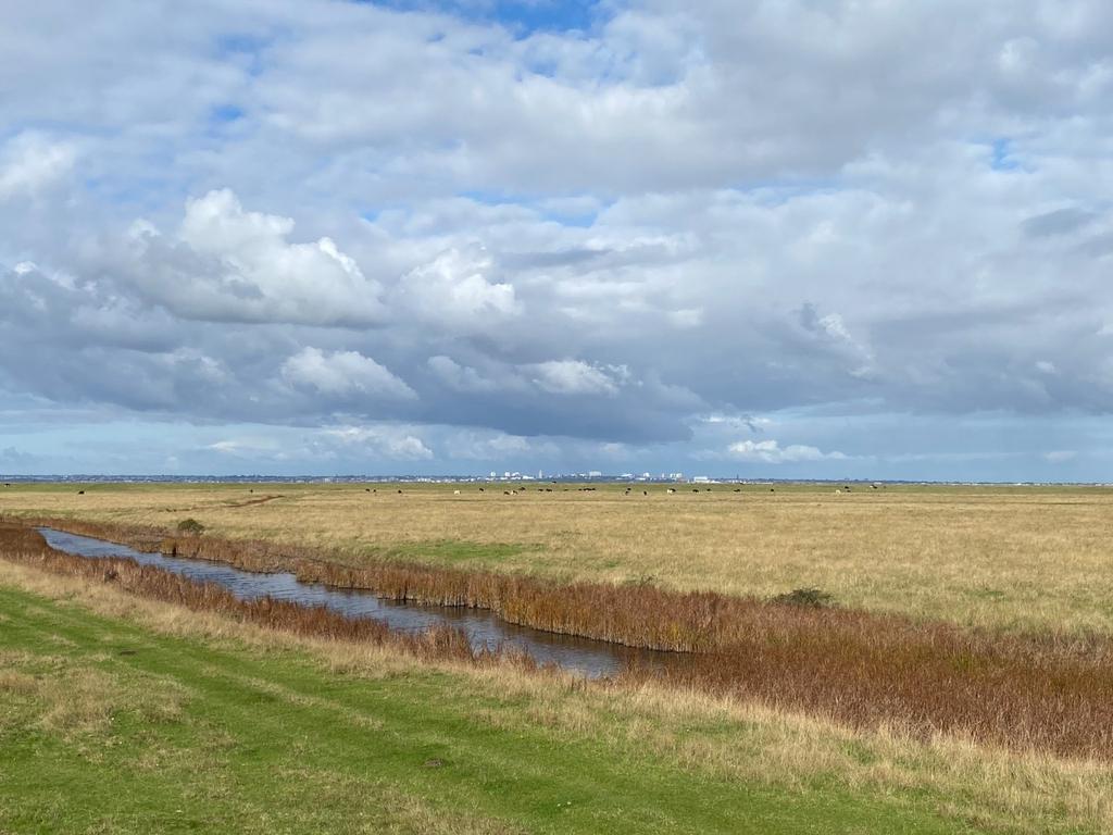 Allhallows Marsh