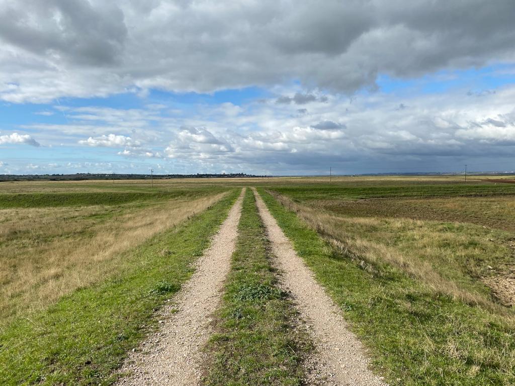 Access Track
