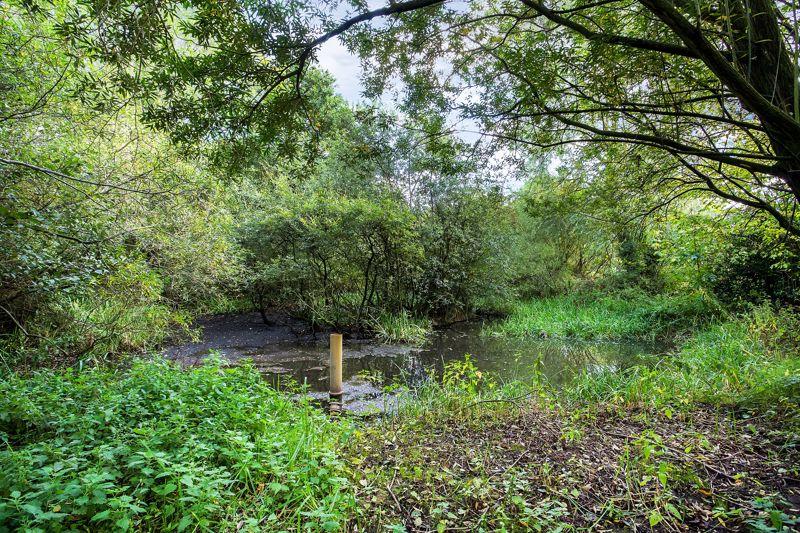 Natural pond
