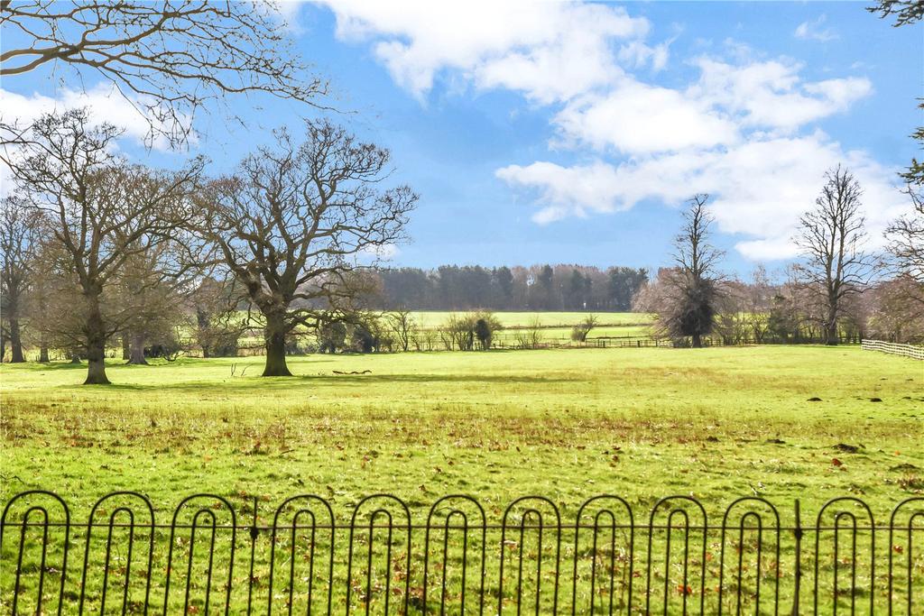 Grounds