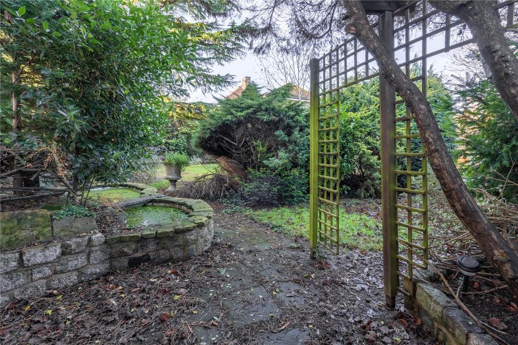 Garden (2)
