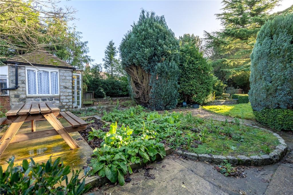 Garden (3)