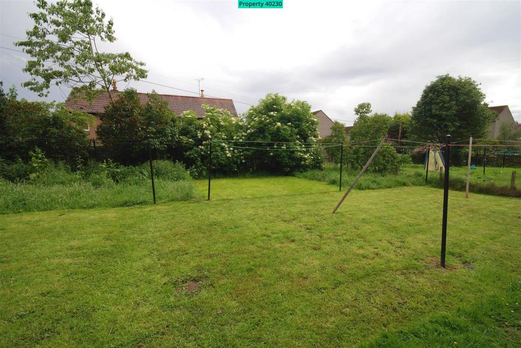 Shared Garden