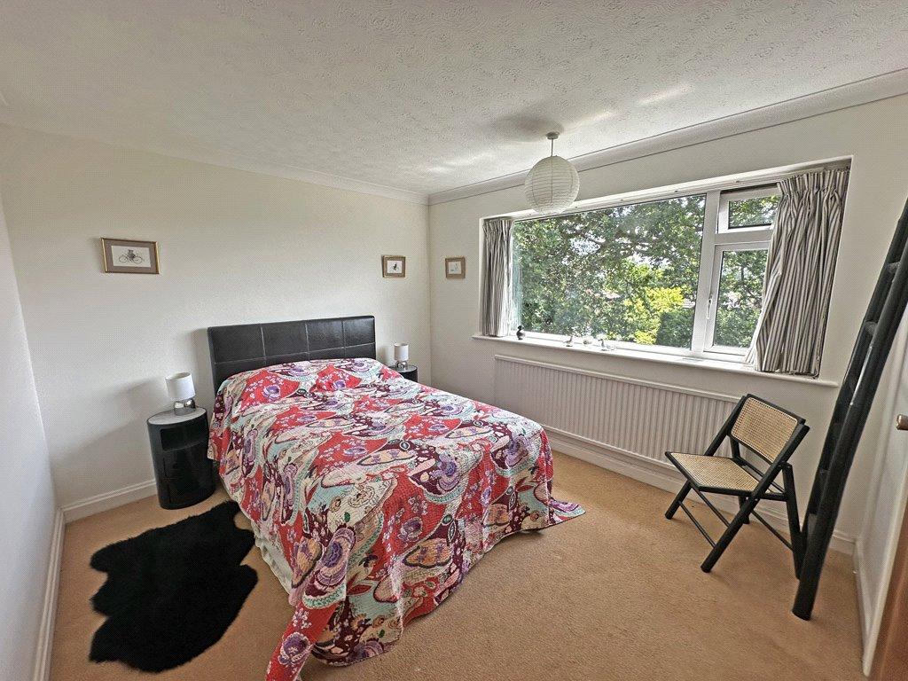 Picture 7