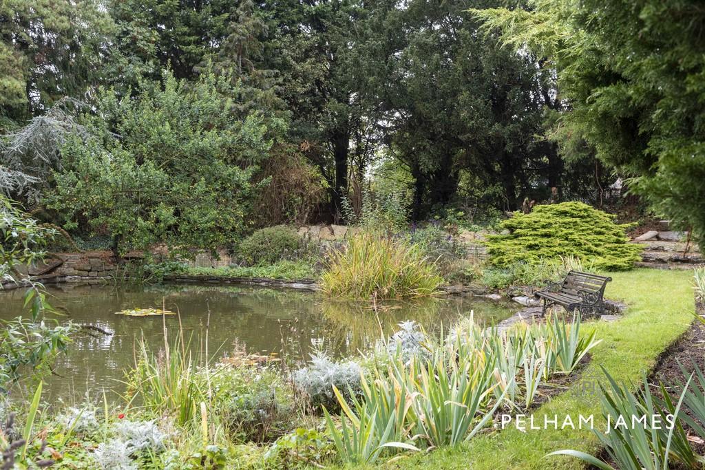 Garden pond