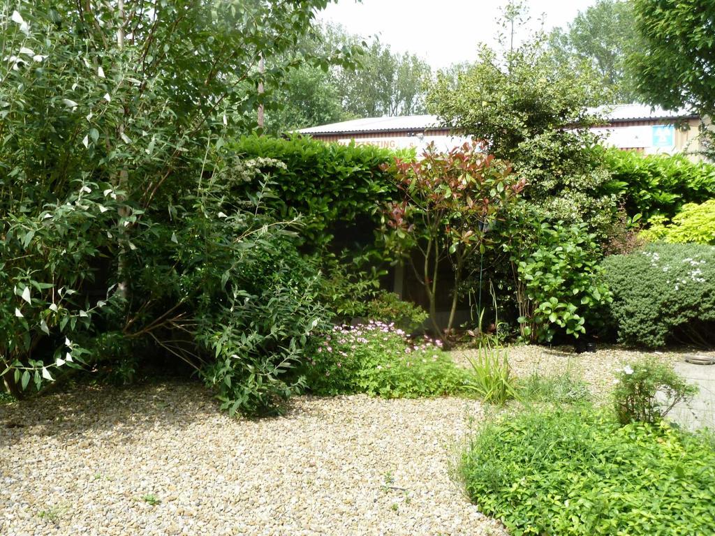 Communal Garden