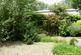 Communal Garden