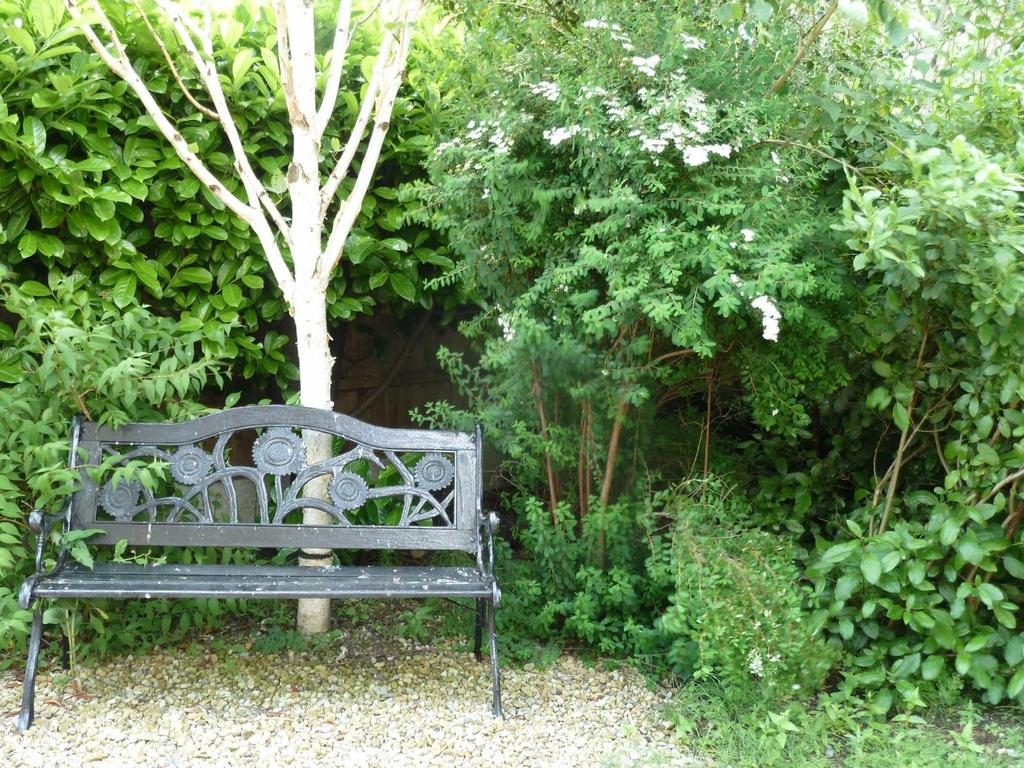 Communal Garden
