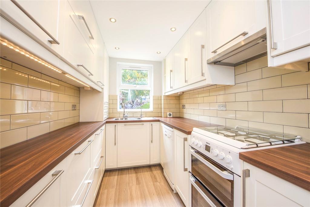 Modern Kitchen