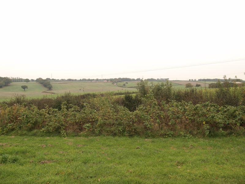 Open Views