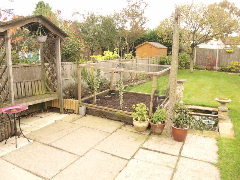 Patio Area/Pond