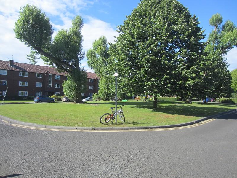 Front Garden & Drive