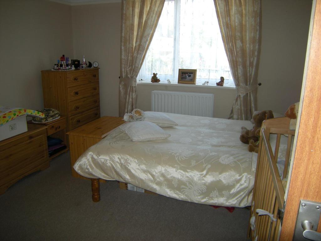 Picture 003