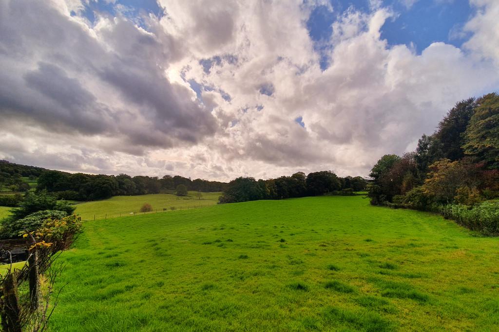 View from Garden