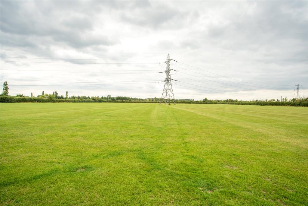 Open Field View
