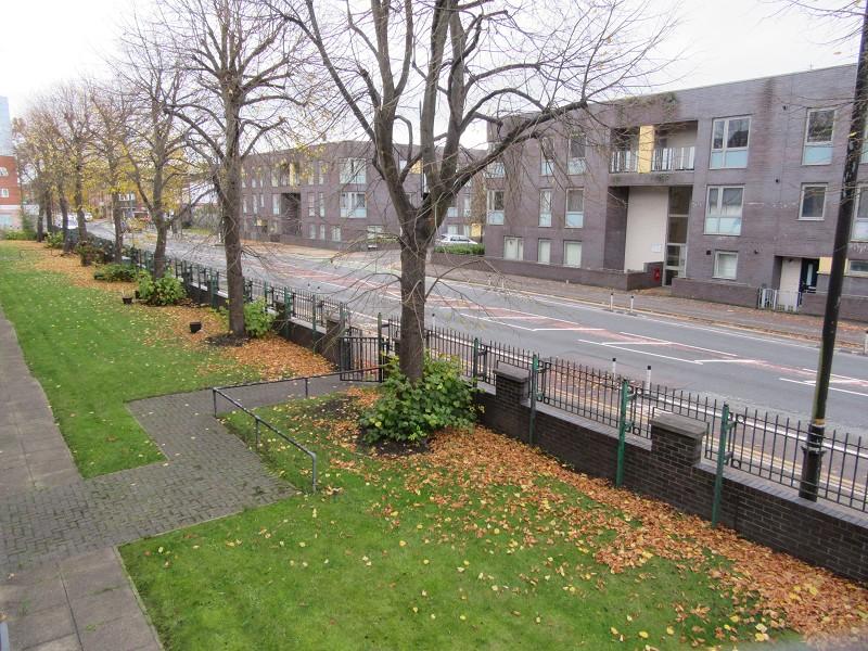Communal Gardens