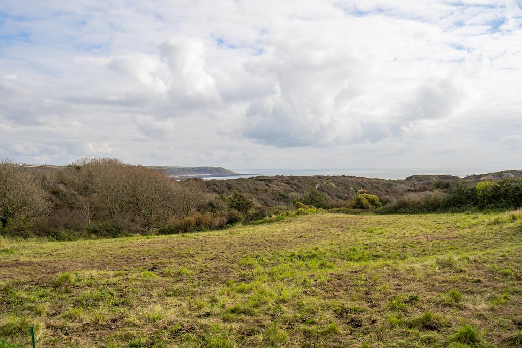 A page Image WEB (10 of 82).jpg