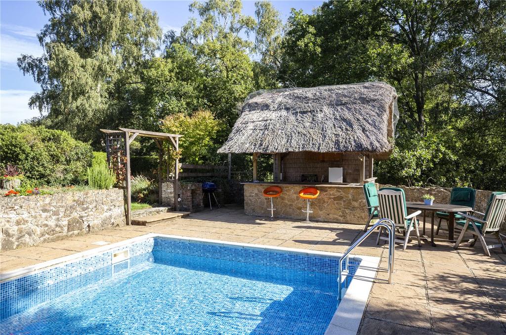 Pool and Tiki Hut