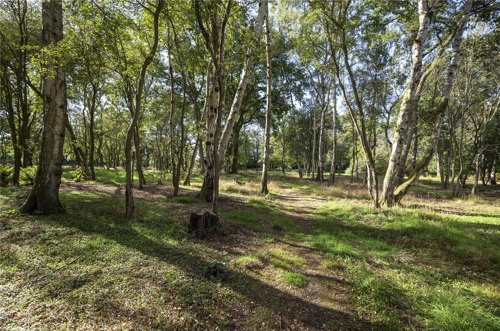 Copse