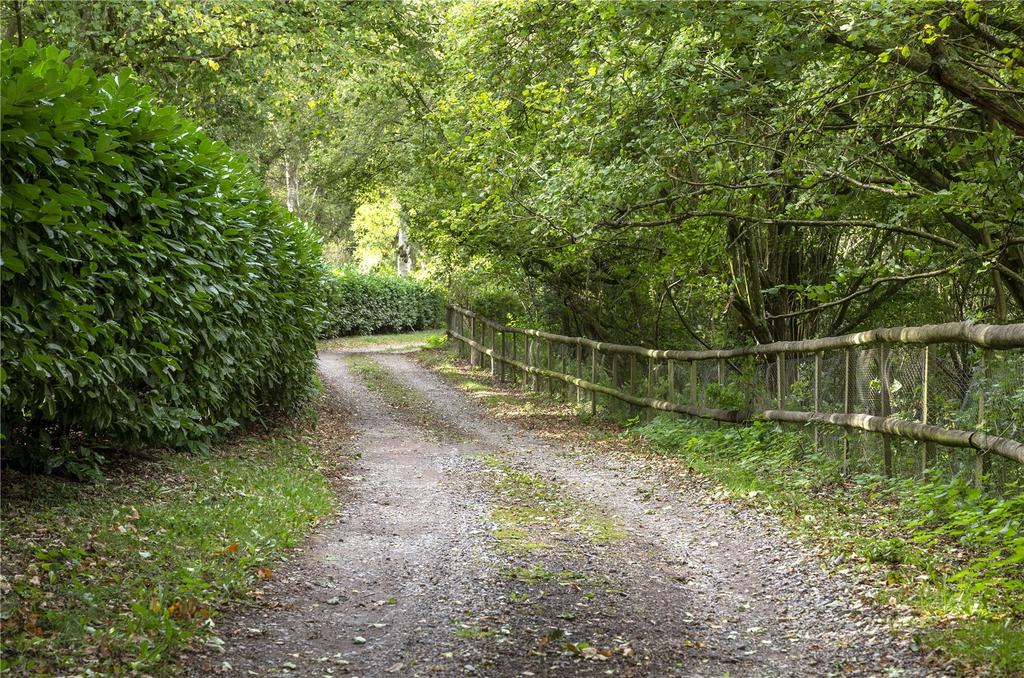 Driveway