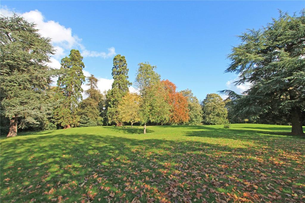 Park Grounds