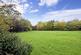 Communal Gardens