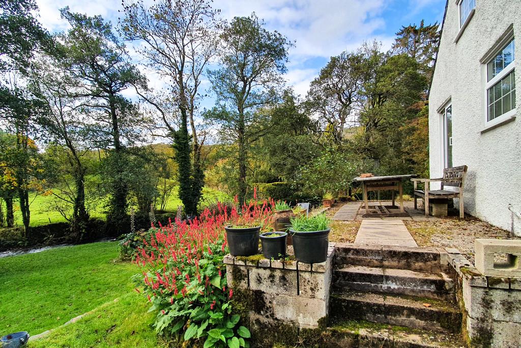 Patio and garden
