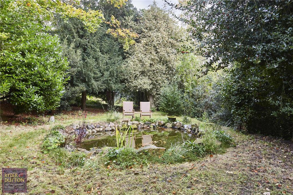 Pond