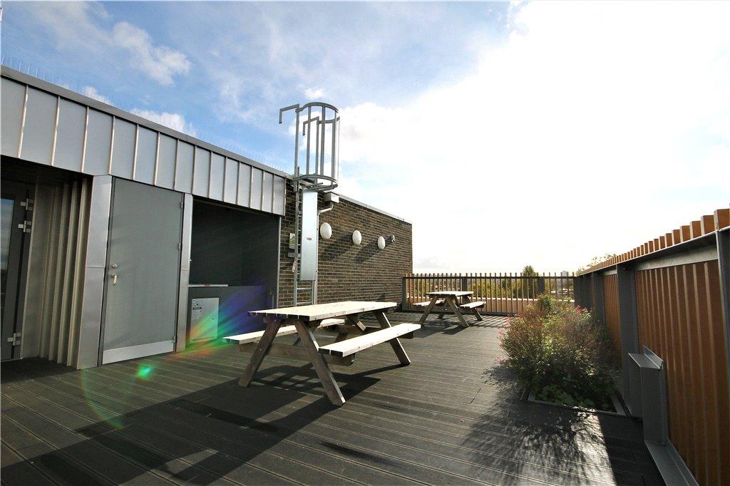 Communal Terrace