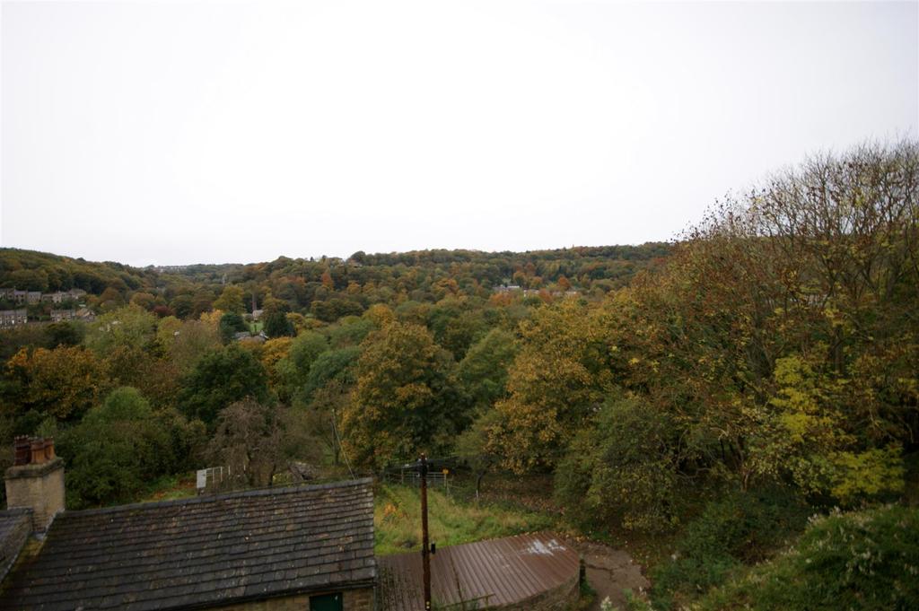 Views2.jpg