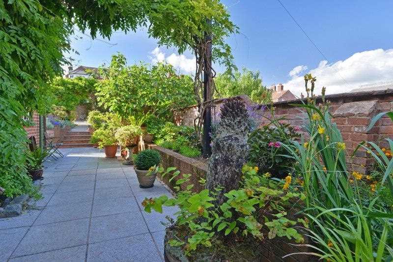 Back Garden