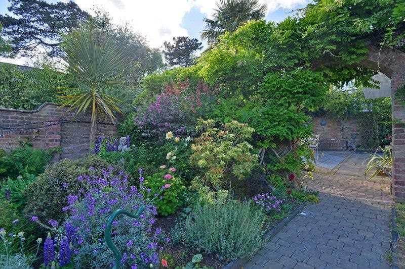 Back Garden