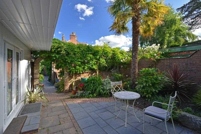 Back Garden