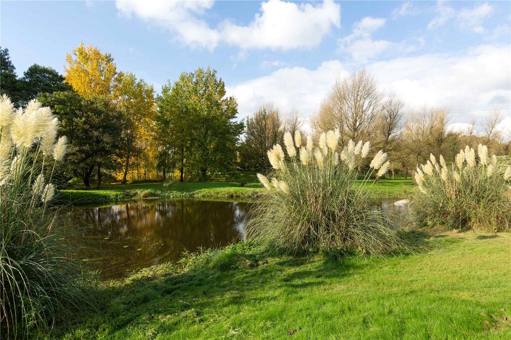 Pond