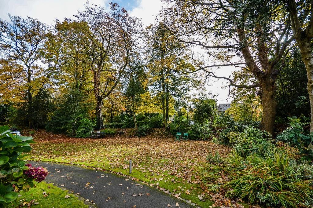 Communal Gardens
