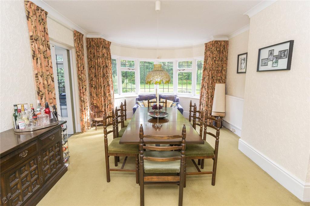 Picture No. 19