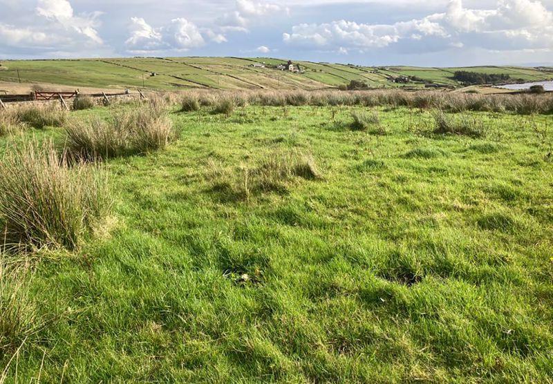 Land