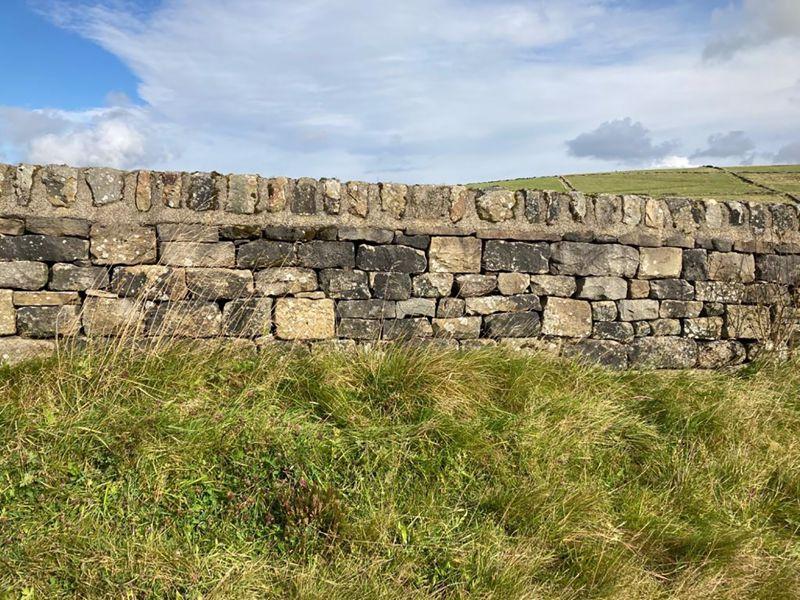 Wall