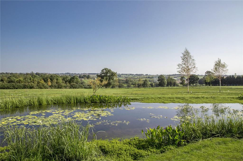 Pond