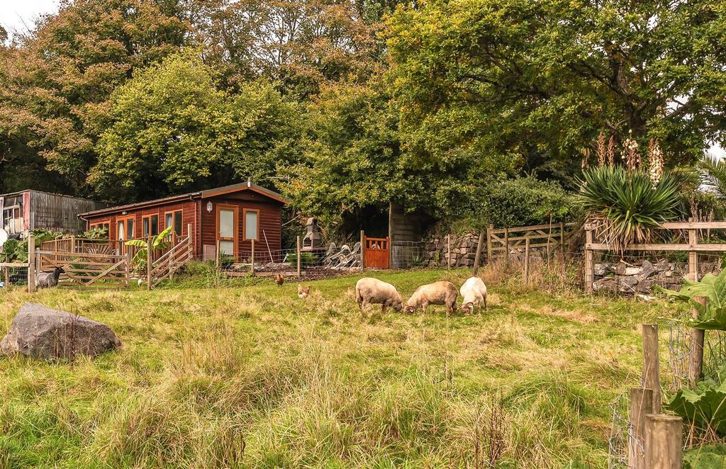 The Lodge