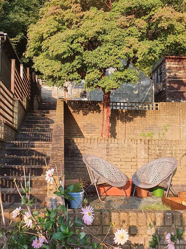 Rear Garden Terraces