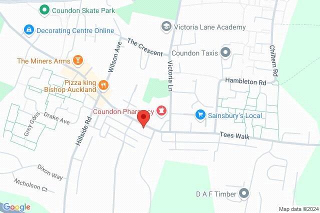 Google Maps Image