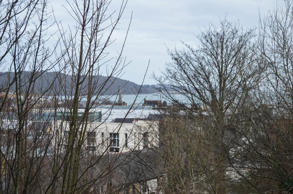Photo 07